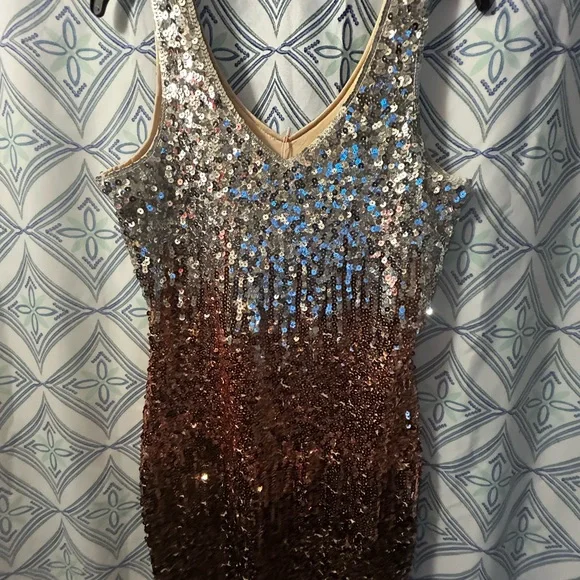 NWT Sequin Ombre Sleeveless Dress w/Perfectly in Tact Embellishments and Lined - Picture 15 of 16